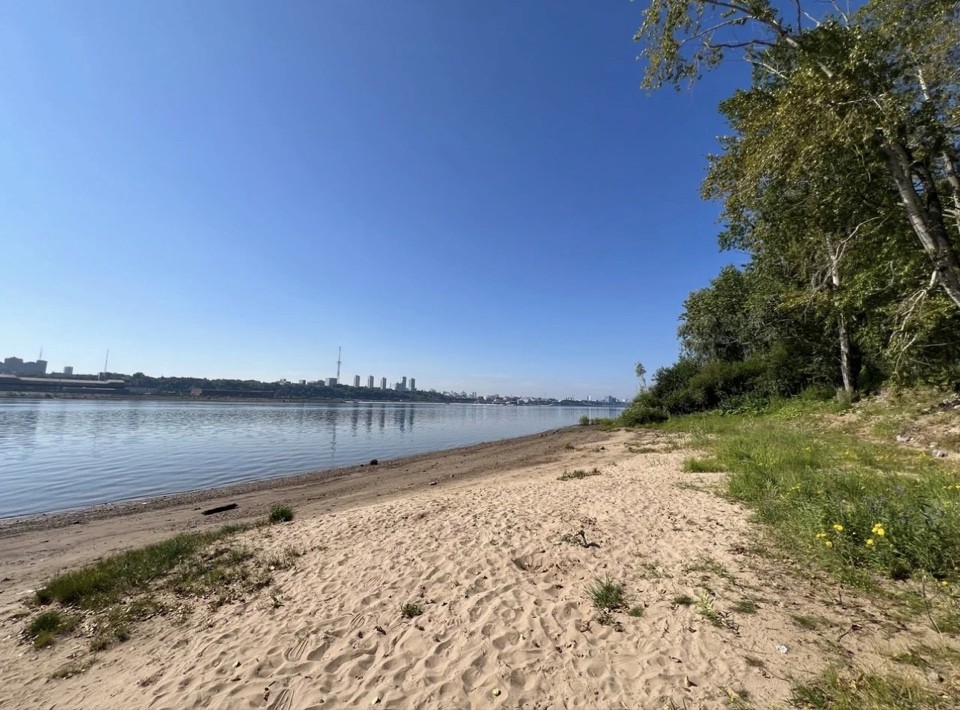 Modern architecture with fluid white curves and blue glass columns reflecting in a tranquil pool. Palm trees add a tropical feel under a clear sky.